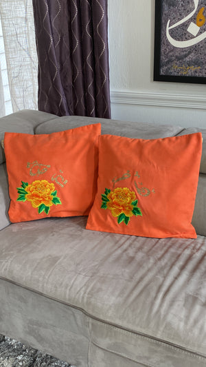 2Pc velvet Orange cushion cover
